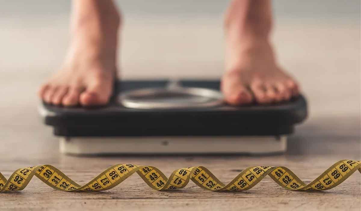 کاهش چربی شکم با دنبه گوسفندی؟/ نظر دفتر بهبود تغذیه وزارت بهداشت کاهش چربی شکم با دنبه گوسفندی؟/ نظر دفتر بهبود تغذیه وزارت بهداشت